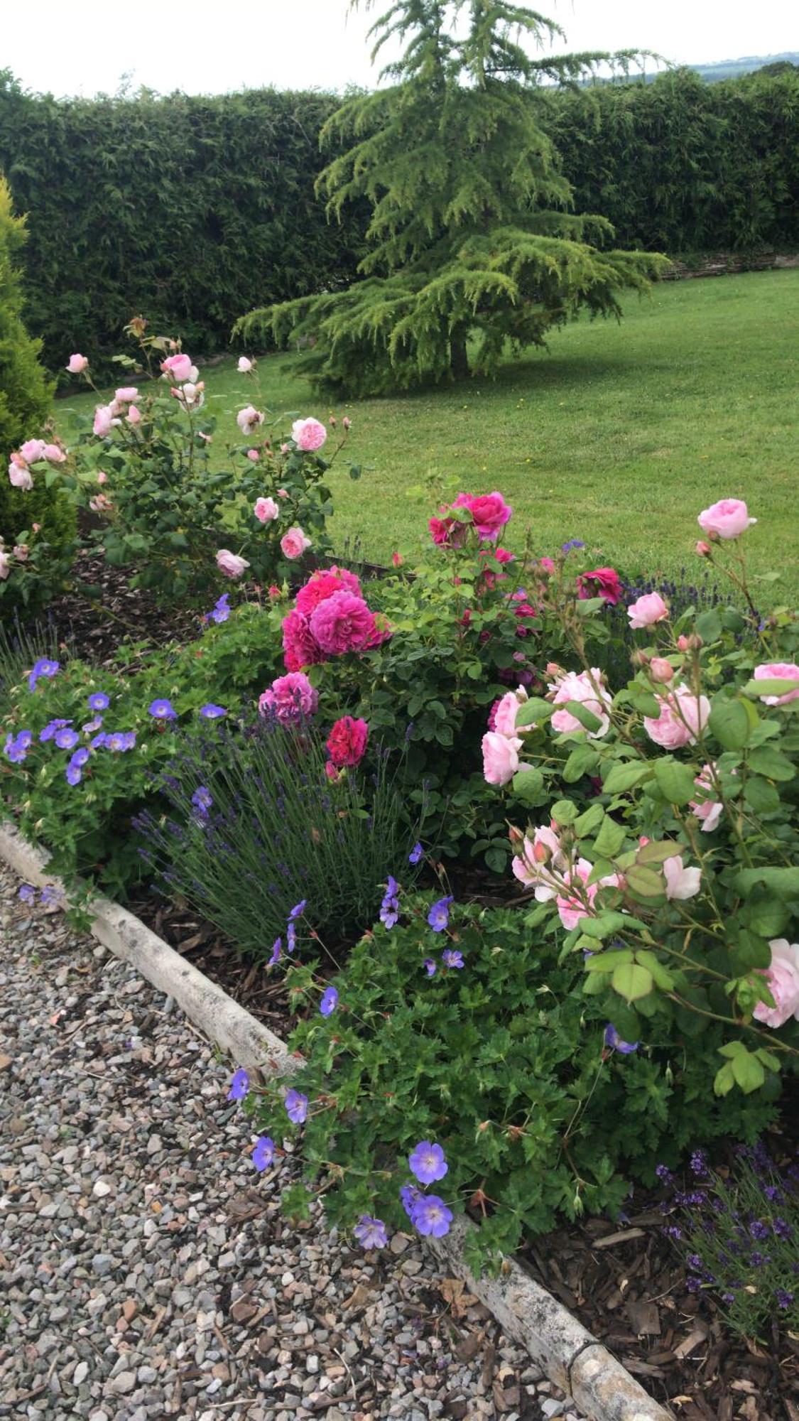 Rock Park Farm - Home From Home Accommodation Yeoford 外观 照片